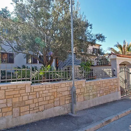 Lidija 1305 * 普拉